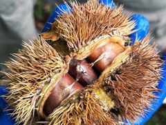 -楠溪江风景名胜区