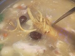 鲜人参锅底-千岛蚝高压锅生蚝·人参火锅(白云万达店)