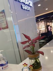 -时尚殿堂hair salon