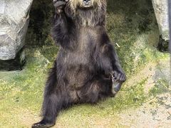 -云南野生动物园