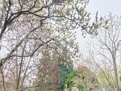 -月坛公园