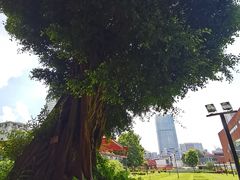 -南越王博物院(王宫展区)