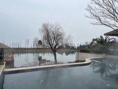 -苏州湾·王焰温泉