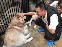 -TrueLove @ Neverland (Husky Cafe)