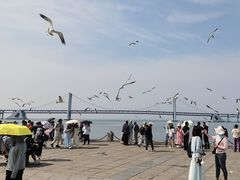 -星海湾跨海大桥