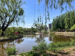 -将府公园