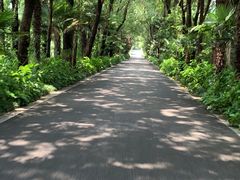 -同里国家湿地公园