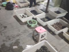 -中环花鸟鱼虫市场