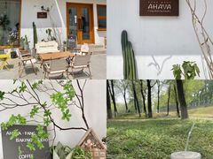 -AHAVA·Fang Baking Studio