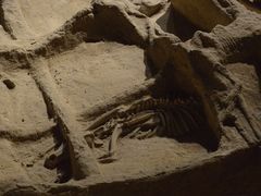 -洛阳周王城天子驾六博物馆