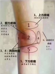 点击看大图 -香薇妮丝女子减肥院