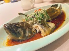 -梦都海鲜酒家(万达广场江桥店)