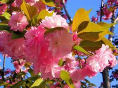 -幕燕滨江·长江观音景区