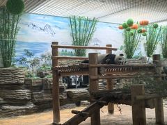 -西霞口神雕山野生动物世界