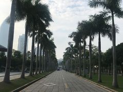 -厦门大学(思明校区)