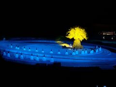 -鼎盛王朝康熙大典实景演出