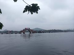 -鲁镇