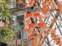 -老磨油饼(高陵店)
