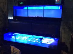 -阿尔法海鲜排档(爱琴海店)