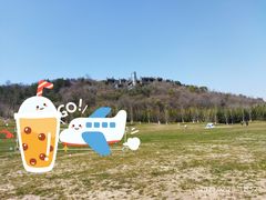 -羊山湖公园
