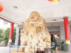 -溪口-滕头旅游景区