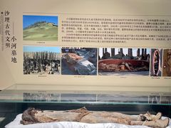 -巴音郭楞蒙古自治州博物馆