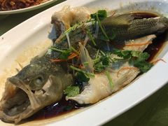 -正阳春烤鸭店(杨楼店)