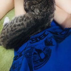 -DOS HOP潮上舞蹈