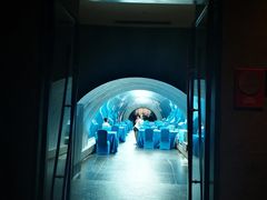 -海棠湾洲际-涛·海底餐厅·美人鱼·自助餐·海底隧道