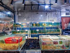 -阳江餐厅·30年老字号·粤菜海鲜大排档