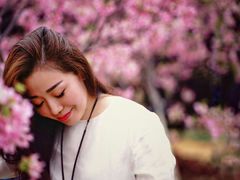 -天适樱花悠乐园