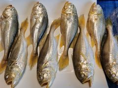 -潮汕味道·煮海餐厅(金麟大厦店)