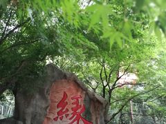 -杭州黄龙洞
