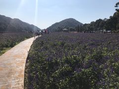 -广州市石门国家森林公园