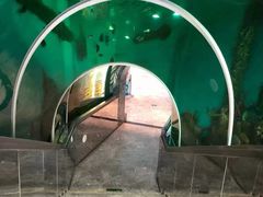 -瑞德姆美人鱼海底演艺主题餐厅(亚龙湾店)