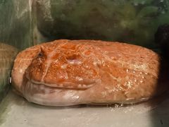 -上海大自然野生昆虫馆(东方明珠·爬宠昆虫探索中心)