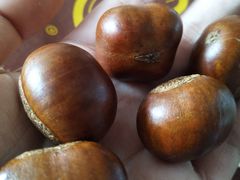 -鑫栗王(庙前街总店)