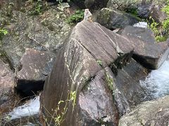 -姑婆山旅游区