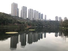 -重庆彩云湖湿地公园