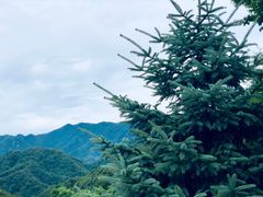 -沣峪口