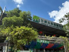 -芦仙山景区-飞越丛林探险乐园