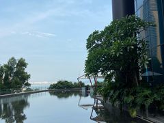 -希尔顿南海酒店·观廊大堂吧·海景下午茶