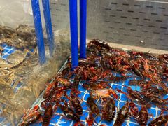 -半岛听涛蒸汽海鲜自助(K11店)
