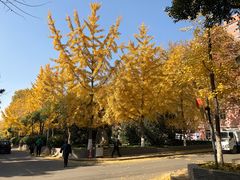 -陕西师范大学(雁塔校区)