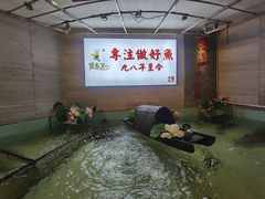 -楚鱼王·河鲜·湖北菜(华农店)