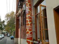 -长颈鹿咖啡(大学路店)