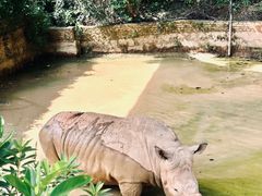 -泉州海丝野生动物世界