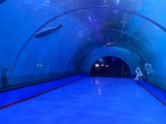 -海合安青岛极地海洋公园