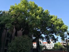 -福建师范大学(仓山校区)