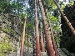-梭布垭石林景区